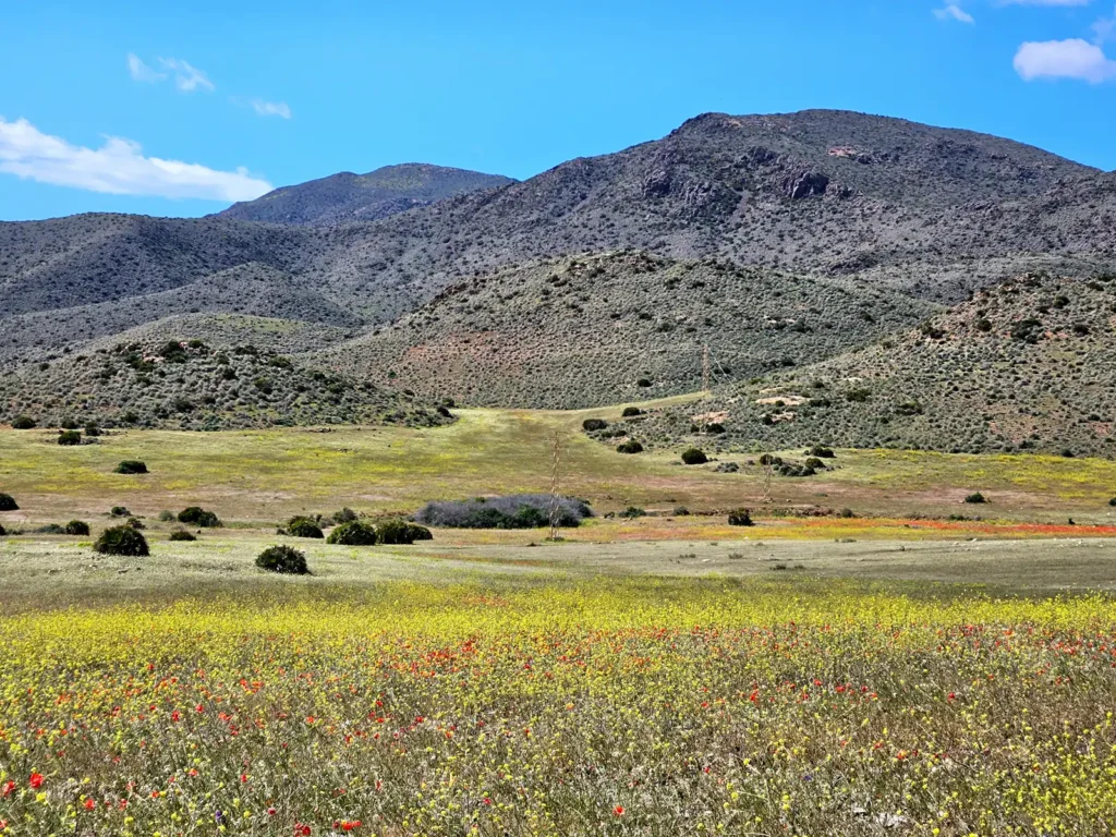 Pozo-de-los-Fraile
