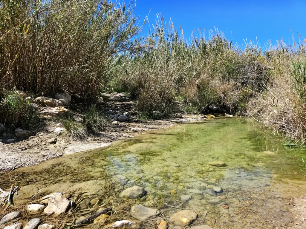Charco