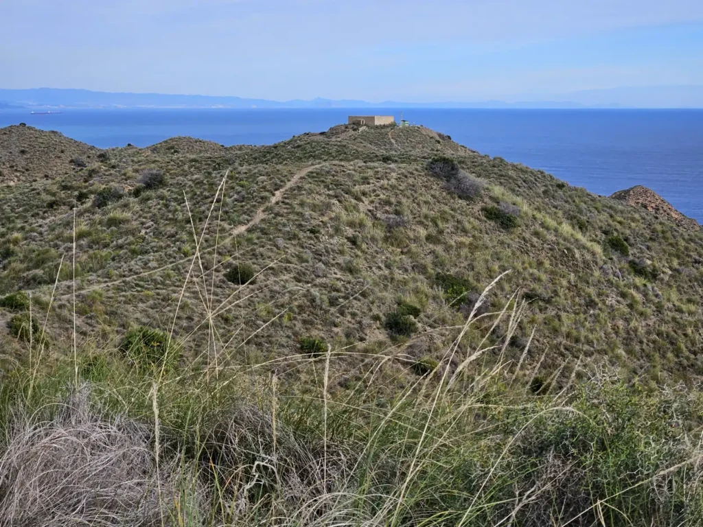 Cuerda-Chacona